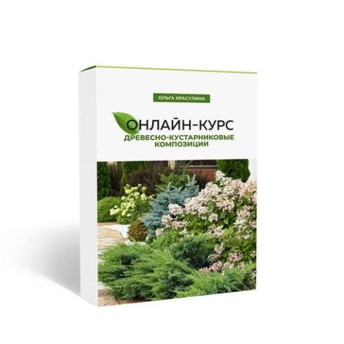 Красулина ландшафтный дизайн